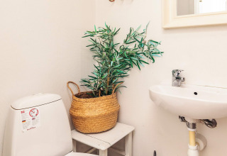 Angolo di un bagno con WC, lavandino e pianta verde in cesto intrecciato a Øster Assels, Danimarca.