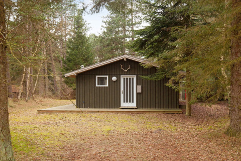 En chalet i træ ligger i skoven, Store Fuglede, Danmark, omgivet af træer og natur, set forfra.