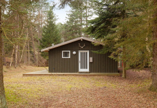 En chalet i træ ligger i skoven, Store Fuglede, Danmark, omgivet af træer og natur, set forfra.