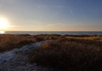 Sonnenuntergang über dem Meer, gesehen von einer Wiese am 6-Personen-Ferienhaus in Store Fuglede, Dänemark.