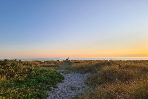 Sti gennem sandklitter fører til stranden ved solnedgang nær feriehus til 6 personer i Store Fuglede, Danmark.