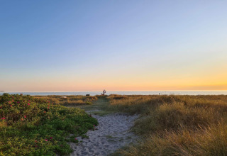 Wandelpad door grasduinen naar het strand bij zonsondergang, vlak bij vakantiehuis in Store Fuglede, Denemarken.