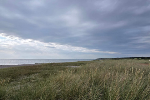 Kystlandskab ved Store Fuglede, Danmark, med græs og hav under en overskyet himmel nær feriehus.