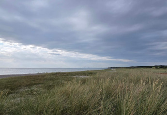 Kystlandskab ved Store Fuglede, Danmark, med græs og hav under en overskyet himmel nær feriehus.