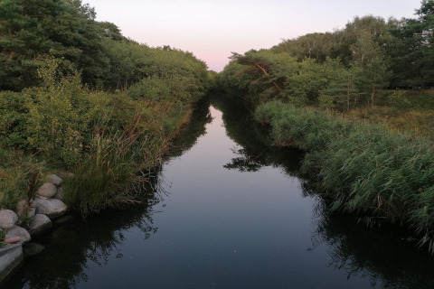 Vista tranquila de un río rodeado de vegetación y árboles, cerca de un chalet en Store Fuglede, Dinamarca.