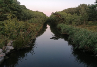 Vista su un fiume tranquillo tra la vegetazione e alberi vicino a uno chalet a Store Fuglede, Danimarca.