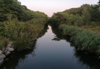 Vista tranquila de un río rodeado de vegetación y árboles, cerca de un chalet en Store Fuglede, Dinamarca.