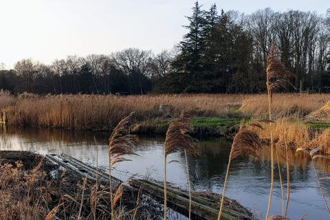 Vista pintoresca de río y juncos junto a una casa de vacaciones en Store Fuglede, Dinamarca.