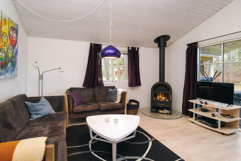 Salón de chalet en Store Fuglede, Dinamarca, con chimenea, sofás, televisor y grandes ventanales.