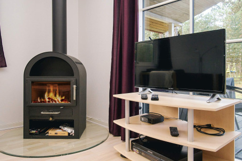 Woonkamer met houtkachel en flatscreentelevisie in vakantiehuis in Store Fuglede, Denemarken, boszicht.