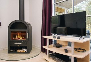 Woonkamer met houtkachel en flatscreentelevisie in vakantiehuis in Store Fuglede, Denemarken, boszicht.