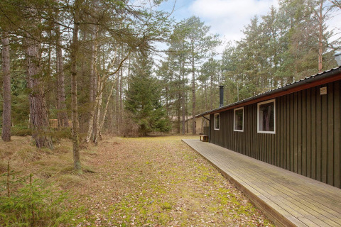 Chalet pour six à Store Fuglede, Danemark, avec terrasse en bois et entouré d'une forêt paisible.