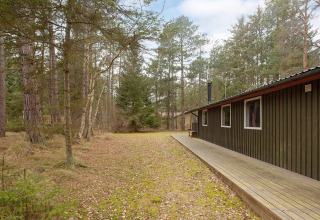 Chalet pour six à Store Fuglede, Danemark, avec terrasse en bois et entouré d'une forêt paisible.