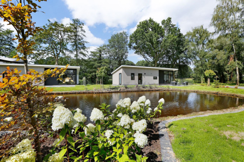 Moderne lodge aan vijver bij Holiday Park De Lochemse Berg, met bloemen en groen in Nederland.