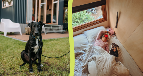 Een zwarte hond zit buiten bij een chalet, terwijl binnen een kind slaapt met een hondenkussen in bed.