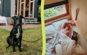 Een zwarte hond zit buiten bij een chalet, terwijl binnen een kind slaapt met een hondenkussen in bed.