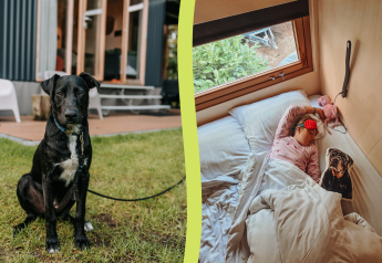 Un cane nero è seduto fuori da una baita mentre all'interno un bambino dorme a letto con un cuscino con un cane.