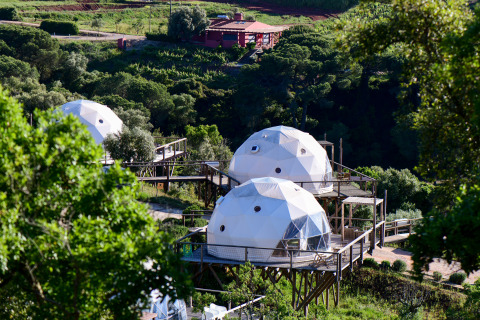 Koppelkoepels bij Wecamp Reserva Alecrim in Portugal, tussen het groen en verbonden met houten paden.