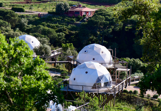 Koppelkoepels bij Wecamp Reserva Alecrim in Portugal, tussen het groen en verbonden met houten paden.