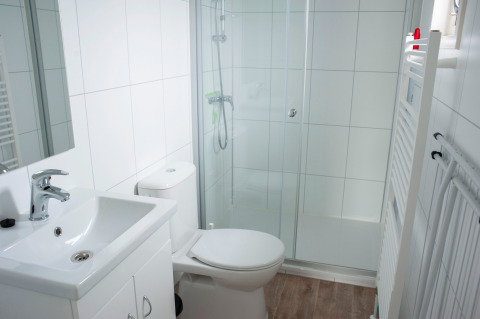 Modern bathroom with shower, toilet, and sink in Veluwelodge XL at De Boshoek Recreation Park, Netherlands.
