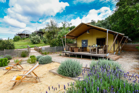 Safari tent Lodge Family bij Wecamp Reserva Alecrim in Portugal met terras, tuin en loungebanken.
