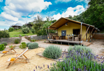Safari-Zelt Lodge Family im Wecamp Reserva Alecrim, Portugal, mit Terrasse, Garten und schöner Natur.