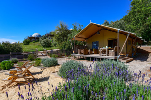 Safaritent Lodge Family bij Wecamp Reserva Alecrim, Portugal met houten veranda en lavendel in beeld.