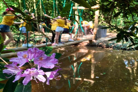Purple flower in foreground, children in yellow shirts on a wooden bridge at Lysdann Lodge, Belgium.