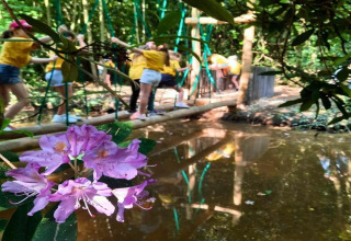 Purple flower in foreground, children in yellow shirts on a wooden bridge at Lysdann Lodge, Belgium.