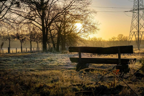 Sunrise by the bench at Lysdann lodge in Belgium, surrounded by trees and frosty grass in the field.
