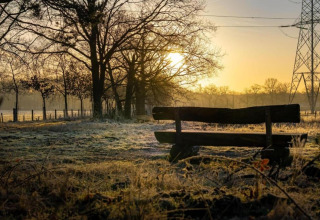 Sunrise by the bench at Lysdann lodge in Belgium, surrounded by trees and frosty grass in the field.