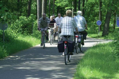 A group of people cycling on a green forest path near the Lysdann lodge in Belgium during summer.
