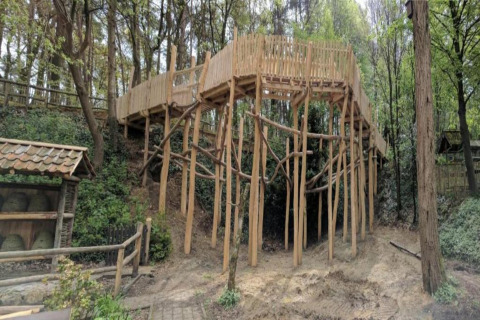 Wooden platform and walkway at Lysdann lodge in Belgium, surrounded by forest and natural scenery.