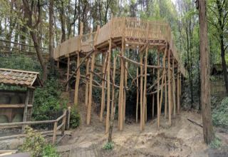 Wooden platform and walkway at Lysdann lodge in Belgium, surrounded by forest and natural scenery.