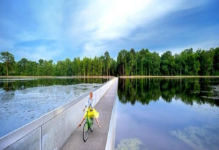 Person cycling on a sunken path surrounded by water and forest at Lysdann lodge in Belgium, sunny day.