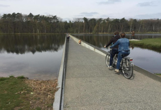 Two people cycle on a submerged bridge crossing a lake at the Lysdann lodge in Belgium, with forest views.