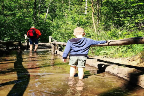 A child and adult walk through a flooded forest path at the 'Lysdann' lodge in Belgium on a sunny day.