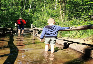 A child and adult walk through a flooded forest path at the 'Lysdann' lodge in Belgium on a sunny day.