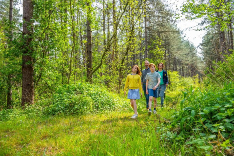 A family walks through a lush forest at Lysdann lodge in Belgium, surrounded by green trees and foliage.