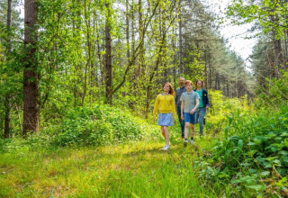A family walks through a lush forest at Lysdann lodge in Belgium, surrounded by green trees and foliage.