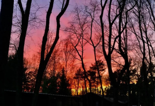 Colorful sunset sky viewed through trees at Lysdann lodge in Belgium, casting vibrant hues and silhouettes.