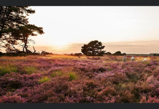 Sunset over heather fields near Lysdann Lodge in Belgium, with two people walking along a winding path.