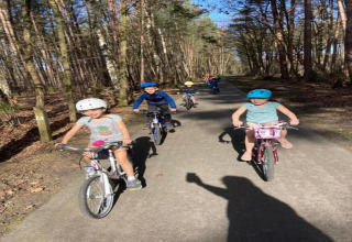 Children riding bikes on a forest path near the Lysdann lodge in Belgium, wearing helmets in sunny weather.