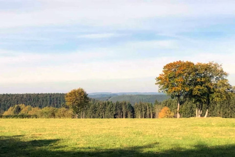 Vista desde la casa móvil Manureva en Bélgica, con campo verde, árboles y cielo azul despejado.