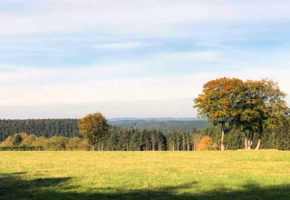 Vista desde la casa móvil Manureva en Bélgica, con campo verde, árboles y cielo azul despejado.