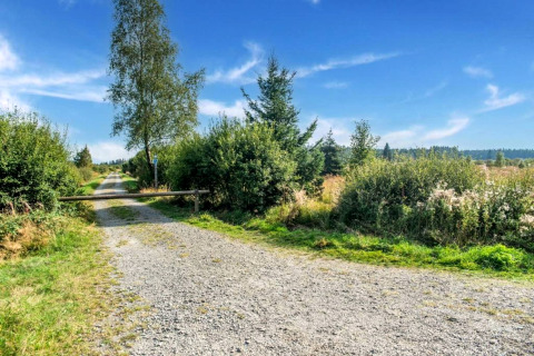 Camino de grava junto a la casa móvil Manureva en Bélgica, rodeado de arbustos bajo cielo azul claro.