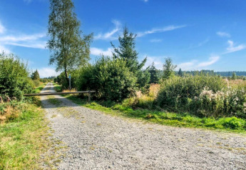 Camino de grava junto a la casa móvil Manureva en Bélgica, rodeado de arbustos bajo cielo azul claro.
