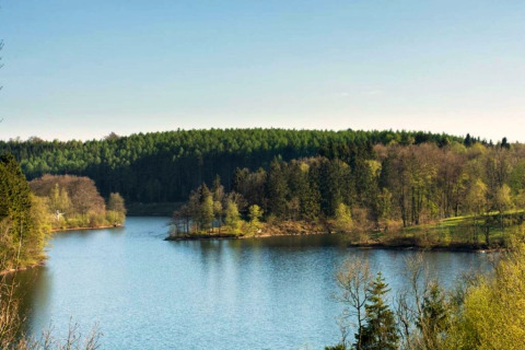 Vista desde la casa móvil Manureva en Bélgica, con lago, bosque frondoso y cielo despejado.