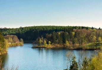 Vista desde la casa móvil Manureva en Bélgica, con lago, bosque frondoso y cielo despejado.
