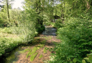 Arroyo fluye entre denso bosque verde cerca de la casa móvil Manureva, Bélgica, en día soleado.